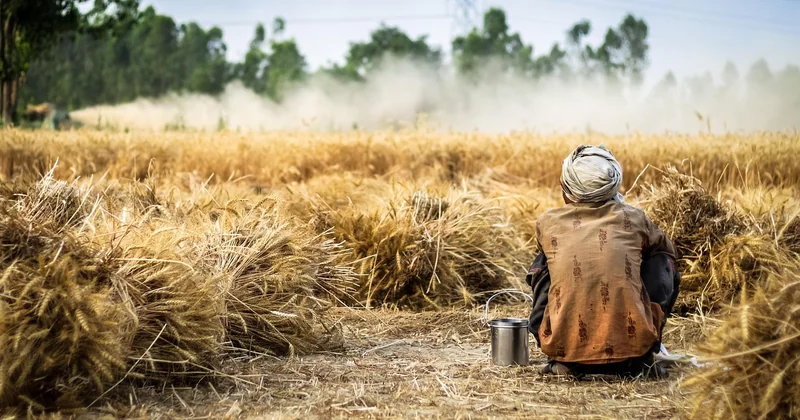 Construire sur un terrain agricole : les règles précises